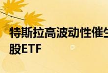 特斯拉高波动性催生首只对冲其下跌风险的单股ETF