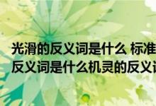 光滑的反义词是什么 标准答案（光滑的反义词是什么柔软的反义词是什么机灵的反义词是什么）