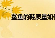  鲨鱼的鞋质量如何 鲨鱼鞋的质量介绍 