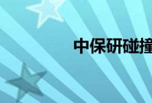中保研碰撞排名在哪里查 