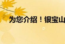 为您介绍！银宝山新股票表现怎么样（）