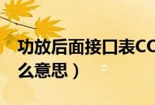 功放后面接口表COM（8欧 70V 100V 是什么意思）