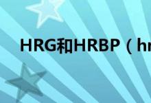 HRG和HRBP（hrbp和hrg有什么区别）