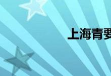  上海青要煮多久能熟 