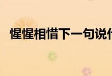 惺惺相惜下一句说什么（惺惺相惜的意思）