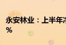 永安林业：上半年净利润3.17亿元同比增919%