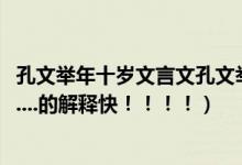 孔文举年十岁文言文孔文举是个怎样的人（孔文举年十岁.........的解释快！！！！）
