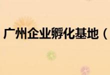 广州企业孵化基地（广州哪有创业孵化基地）