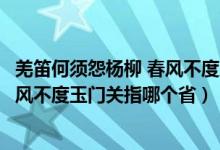 羌笛何须怨杨柳 春风不度玉门关是哪里（羌笛何须怨烟柳春风不度玉门关指哪个省）