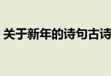 关于新年的诗句古诗大全（关于新年的诗句）