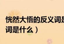 恍然大悟的反义词是什么呢（恍然大悟的反义词是什么）