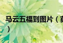 马云五福到图片（获得敬业福的秘诀竟是这样）
