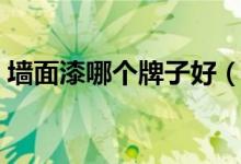 墙面漆哪个牌子好（什么牌子的墙漆最环保）