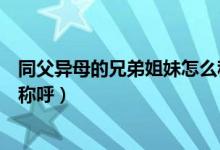 同父异母的兄弟姐妹怎么称呼（古代同父异母兄弟之间怎么称呼）