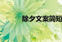 除夕文案简短祝福（除夕文案）