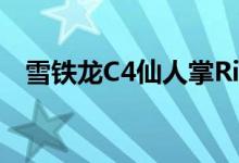 雪铁龙C4仙人掌Rip Curl版电视广告发布 
