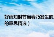 好雨知时节当春乃发生的意思简短（好雨知时节当春乃发生的意思精选）