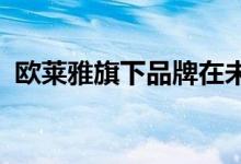 欧莱雅旗下品牌在未来半年内或将继续涨价