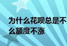 为什么花呗总是不涨额度 经常使用花呗为什么额度不涨