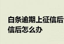 白条逾期上征信后该怎么解除 白条逾期上征信后怎么办