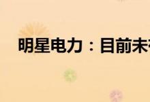明星电力：目前未有进入钒电池产业计划