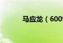 马应龙（600993）发行价多少