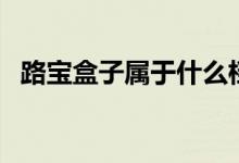 路宝盒子属于什么档次（路宝盒子是什么）