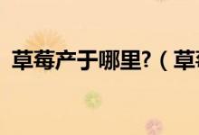 草莓产于哪里?（草莓的原产地是在哪里的）