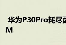  华为P30Pro耗尽配置确认:麒麟980 8GBRAM 