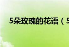 5朵玫瑰的花语（5朵玫瑰的花语是什么）