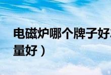 电磁炉哪个牌子好2016（电磁炉哪个牌子质量好）