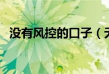 没有风控的口子（无视风控大数据的口子）