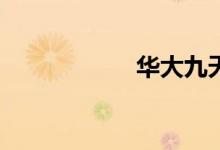 华大九天高开111%