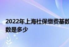 2022年上海社保缴费基数是多少 2022上海社会保险缴费基数是多少 