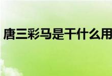 唐三彩马是干什么用的（唐三彩马是什么呢）