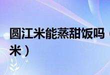 圆江米能蒸甜饭吗（蒸甜饭用长江米还是圆江米）