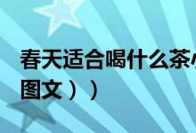 春天适合喝什么茶小孩（春天适合喝什么茶（图文））