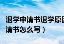 退学申请书退学原因怎么写（急！！！退学申请书怎么写）
