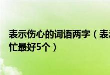 表示伤心的词语两字（表示伤心的词（两个字的）快啊帮帮忙最好5个）