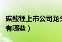 碳酸锂上市公司龙头股一览（碳酸锂上市公司有哪些）