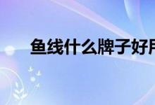 鱼线什么牌子好用（鱼线什么牌子好）