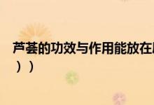 芦荟的功效与作用能放在屋里吗（芦荟的功效与作用（图文））