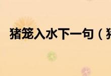 猪笼入水下一句（猪笼入水下一句是什么）