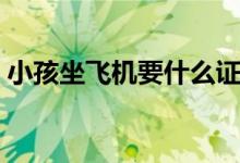 小孩坐飞机要什么证（小孩坐飞机要买票吗）