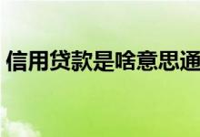 信用贷款是啥意思通俗（信用贷款是啥意思）