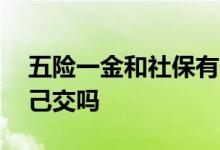 五险一金和社保有什么区别 五险一金可以自己交吗 
