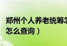 郑州个人养老统筹怎么办（郑州个人养老统筹怎么查询）