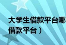 大学生借款平台哪个最安全,最正规（大学生借款平台）