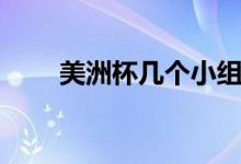 美洲杯几个小组（美洲杯几年一次）