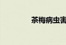 茶梅病虫害（cmbchina）